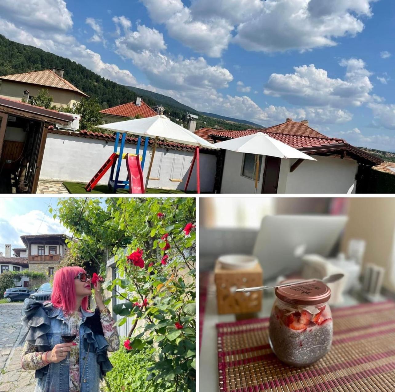 Hotel Boris House à Ognyanovo  Extérieur photo